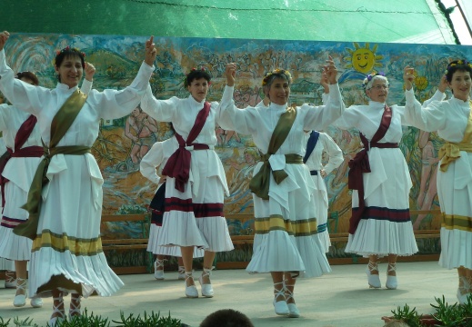 Cserkeszolo11